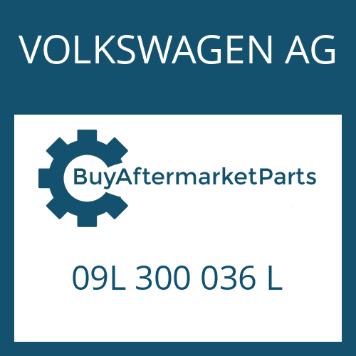 09L 300 036 L VOLKSWAGEN AG 6 HP 19 A SW