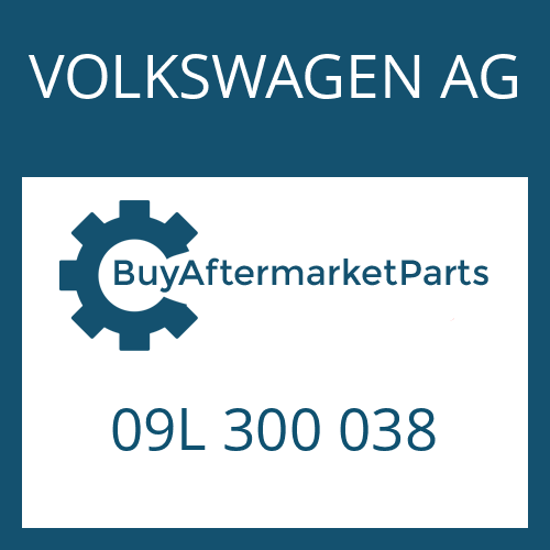 09L 300 038 VOLKSWAGEN AG 6 HP 19 A SW