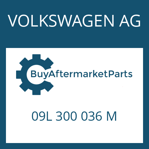 09L 300 036 M VOLKSWAGEN AG 6 HP 19 A SW