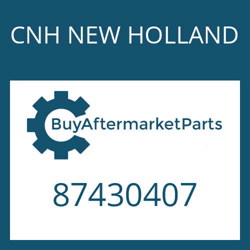 87430407 CNH NEW HOLLAND CK