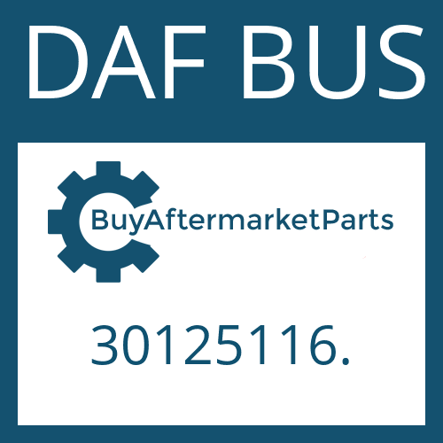 30125116. DAF BUS A 132 II