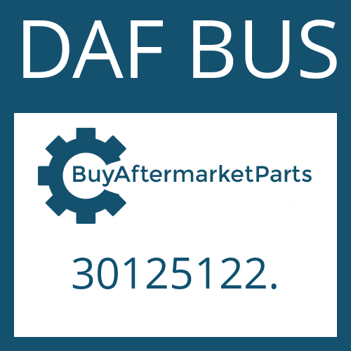 30125122. DAF BUS A 132 II