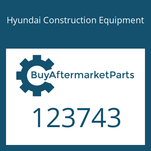 123743 Hyundai Construction Equipment SPRING