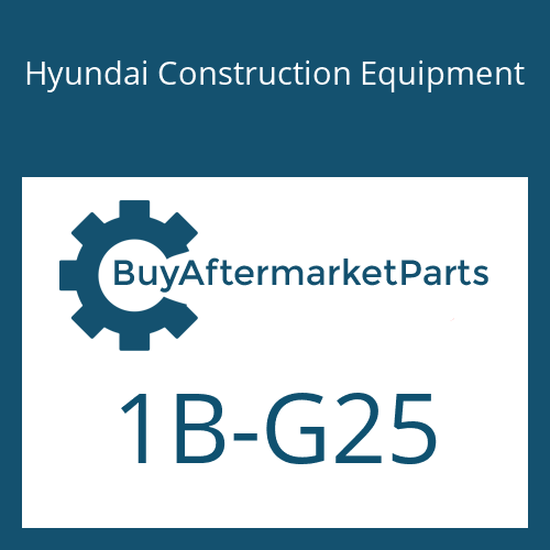 1B-G25 Hyundai Construction Equipment O-RING