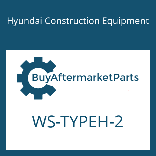 WS-TYPEH-2 Hyundai Construction Equipment SEAL(H2-TYPE METER)