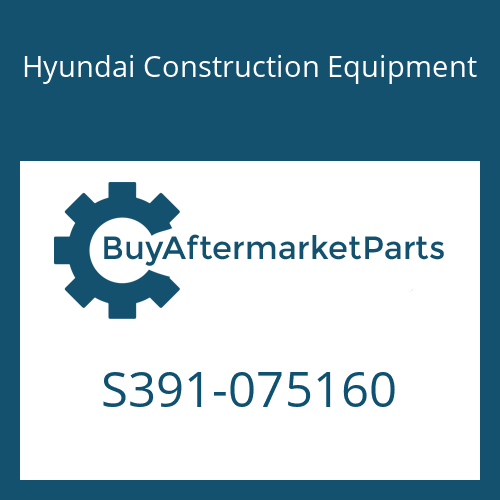 S391-075160 Hyundai Construction Equipment SHIM-ROUND 1.0