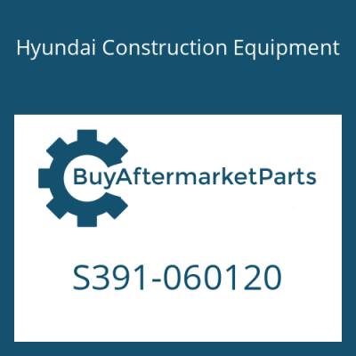 S391-060120 Hyundai Construction Equipment SHIM-ROUND 1.0