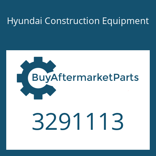 3291113 Hyundai Construction Equipment Shim(22.100)