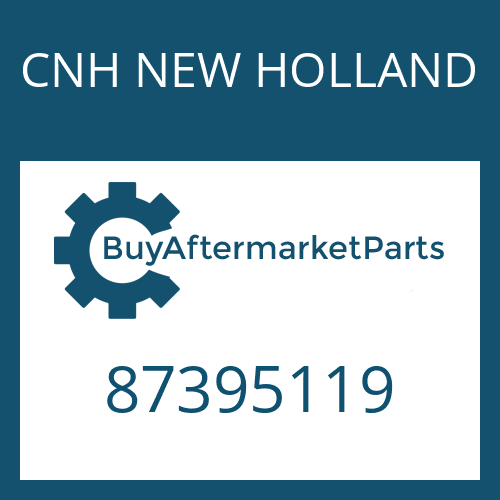 87395119 CNH NEW HOLLAND O RING