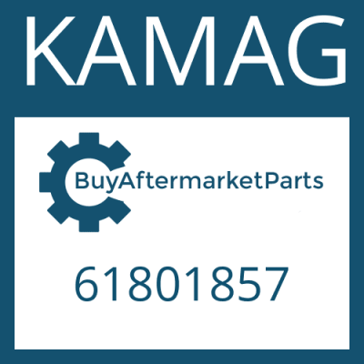 61801857 KAMAG O RING