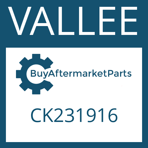 CK231916 VALLEE WASHER