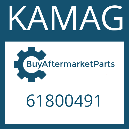 61800491 KAMAG BEARING