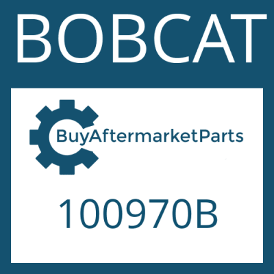 100970B BOBCAT SCREW