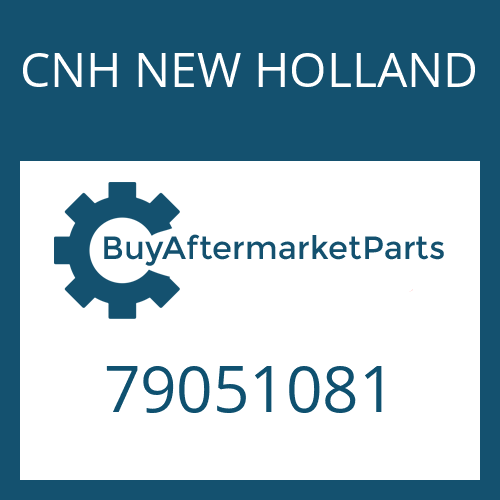 79051081 CNH NEW HOLLAND O RING