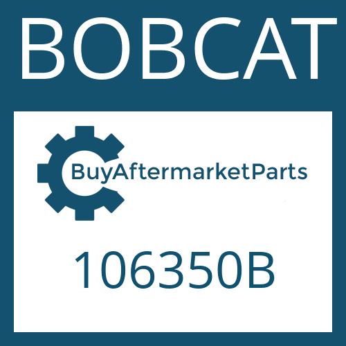 106350B BOBCAT WASHER