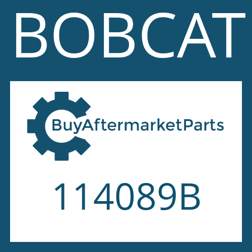 114089B BOBCAT SEAL RING