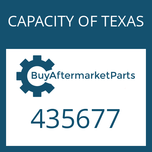 435677 CAPACITY OF TEXAS KIT - UNIT BRG & SEAL