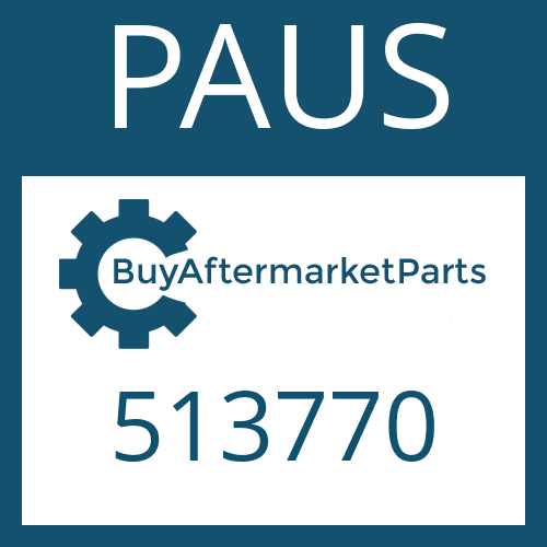 513770 PAUS O - RING