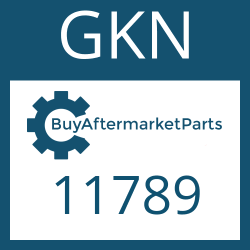 11789 GKN U-JOINT-KIT