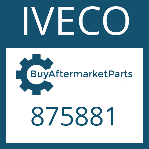 875881 IVECO U-JOINT-KIT