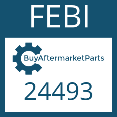 24493 FEBI CENTER BEARING ASSEMBLY