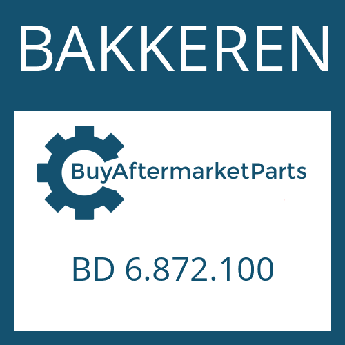 BD 6.872.100 BAKKEREN Flange Yoke