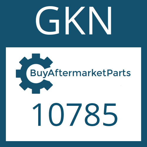 10785 GKN Flange Yoke