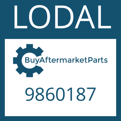 9860187 LODAL NUT-SLOTTED 3/4 " UNF