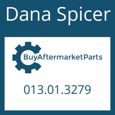 013.01.3279 Dana Spicer SHIM