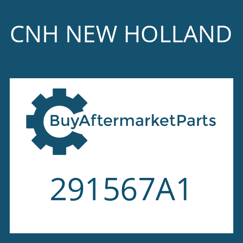 291567A1 CNH NEW HOLLAND WASHER