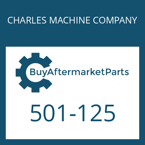 501-125 CHARLES MACHINE COMPANY THRUSTWASHER - DIFF GEAR