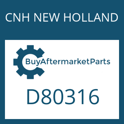 D80316 CNH NEW HOLLAND BACKING RING