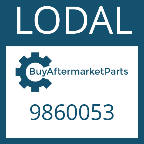 9860053 LODAL WASHER (SPECIAL) 25/64 "