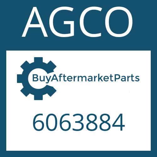 6063884 AGCO NUT