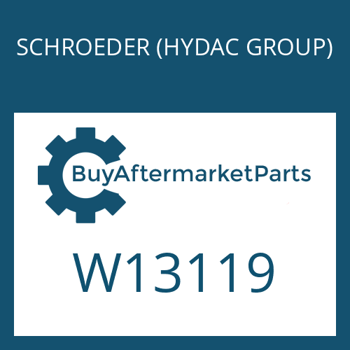 W13119 SCHROEDER (HYDAC GROUP) PINION NUT WASHER