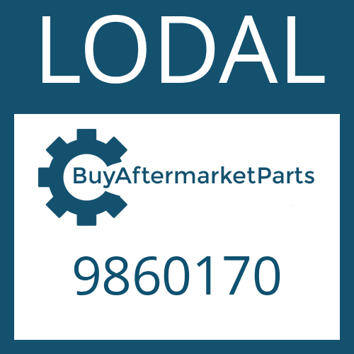 9860170 LODAL WASHER (FELT)