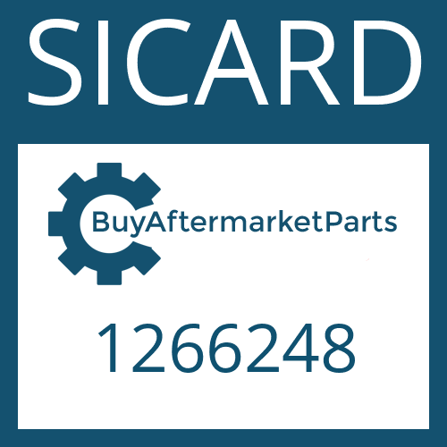 1266248 SICARD THRUSTWASHER - DIFF GEAR(2PER)