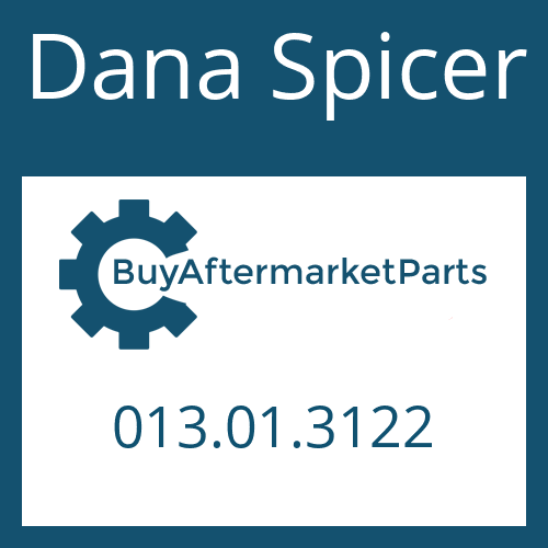 013.01.3122 Dana Spicer SHIM