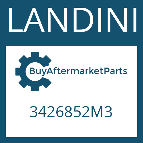 3426852M3 LANDINI ROLLER