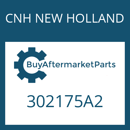 302175A2 CNH NEW HOLLAND Drive flange kit