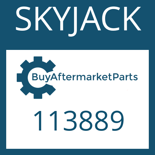 113889 SKYJACK BEARING KIT DIFF