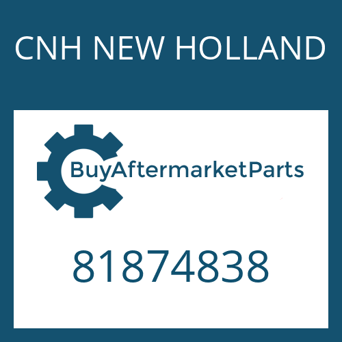 81874838 CNH NEW HOLLAND SHIM