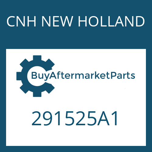 291525A1 CNH NEW HOLLAND SPRING