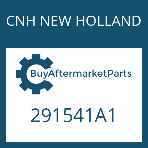 291541A1 CNH NEW HOLLAND WASHER