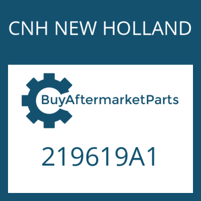 219619A1 CNH NEW HOLLAND ASSY SPACE PLATE