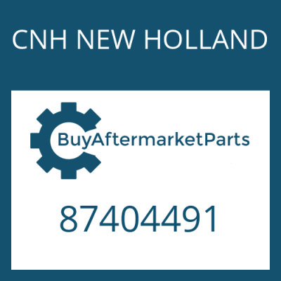 87404491 CNH NEW HOLLAND CAP-NIPPLE