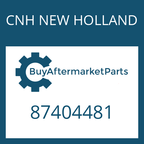 87404481 CNH NEW HOLLAND Diff. case kit