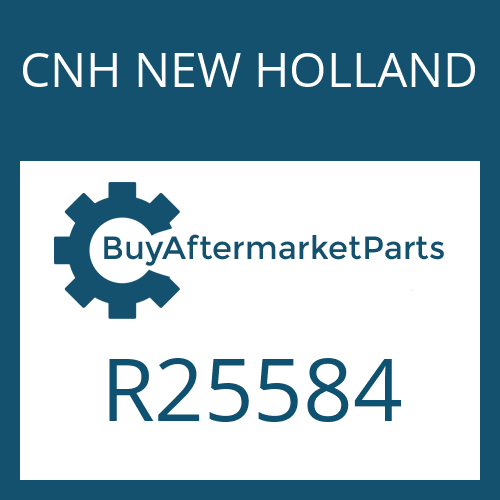 R25584 CNH NEW HOLLAND RG & PIN 256/25