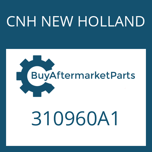 310960A1 CNH NEW HOLLAND Shim kit