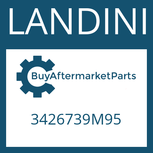 3426739M95 LANDINI AXLE CASE